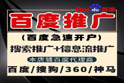 实战解析：SEM代运营成功案例分享